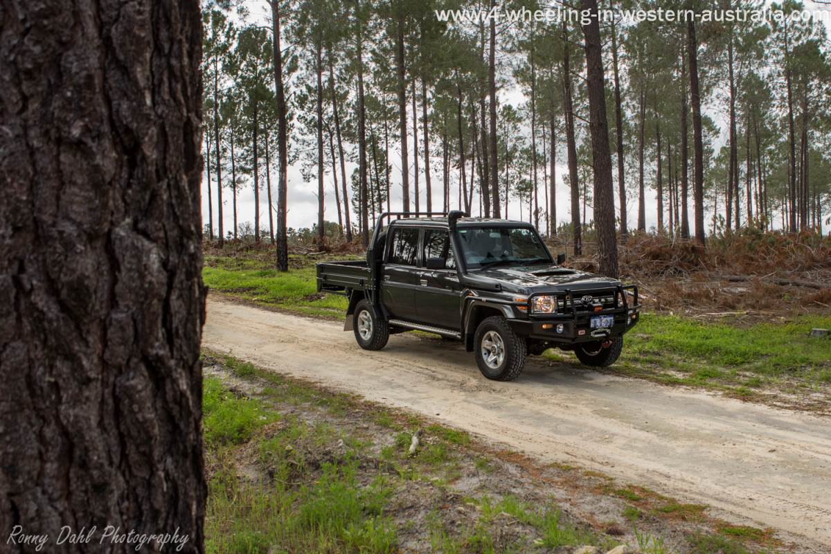 79 series Landcruiser V8 Turbo Diesel Dual cab Ute Review.