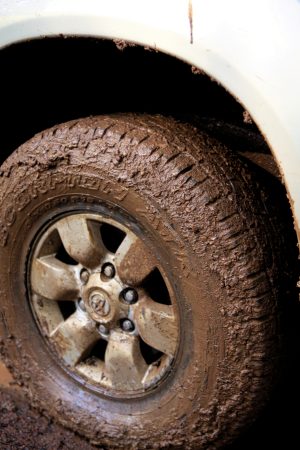 Muddy All Terrain Tire.