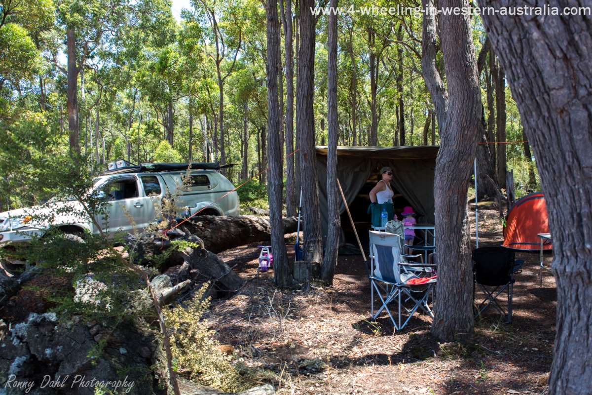 The RV 5 tent. The RV 5 tent.