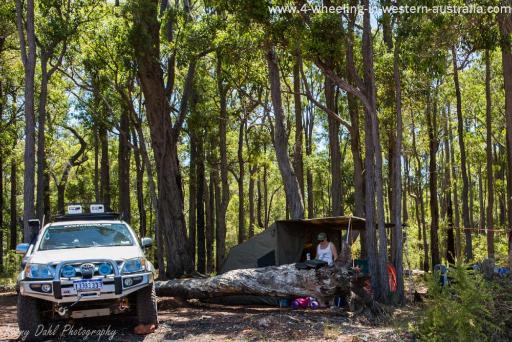 The RV 5 Tent. The RV 5 Tent.