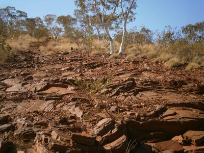 Rock bars and steps on the track up to the summit.
