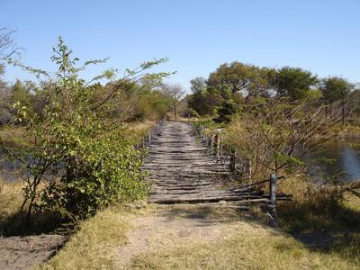 Bush bridge.