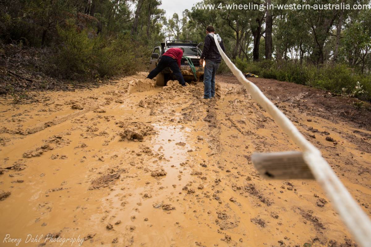 Getting ready to snatch.