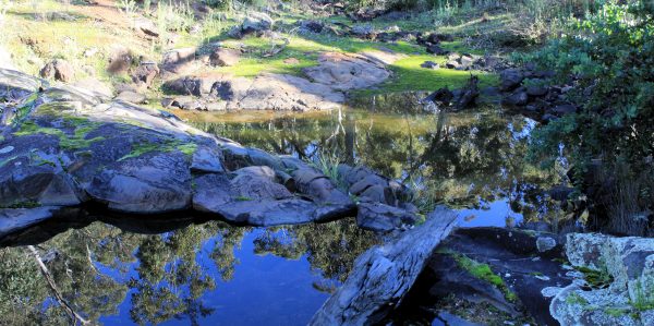 Mundaring, Western Australia. Mundaring, Western Australia.