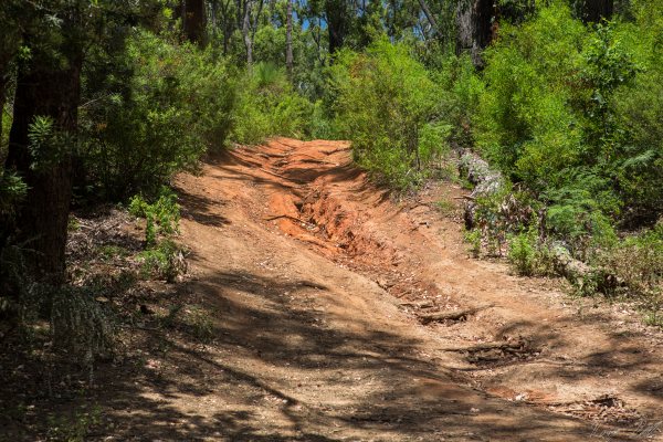 Ruts are quite common along the track. Ruts are quite common along the track.