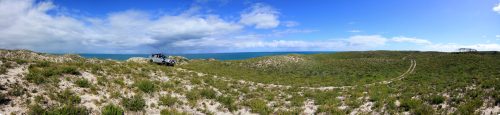 Seabird Panorama. Seabird Panorama.