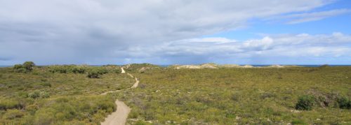 Seabird lanscape, WA