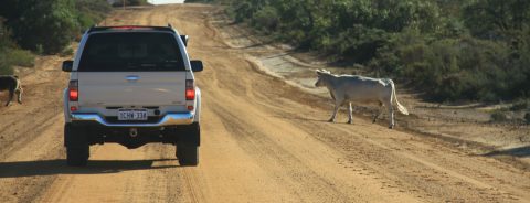 he track to Stockyard Gully. he track to Stockyard Gully.