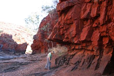 A hidden gem in a land of Iron.