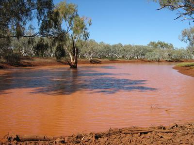Fortescue River ~ Roy Hill Station the Pilbara