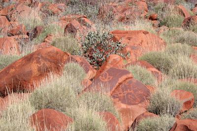 Punda Petroglyph site ~ inland Pilbara