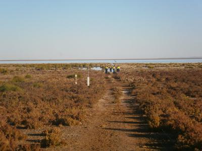The Fortescue Marsh ~ Roy Hill Station inland Pilbara.
