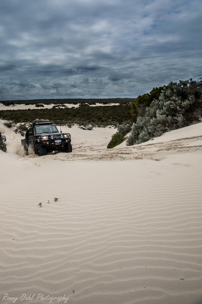 Dual cab cruiser up hill in sand dunes at Cervantes, WA