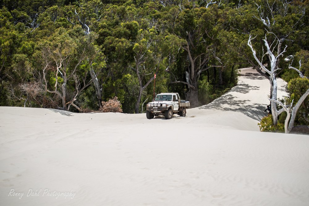Yeagarup Dunes, Western Australia.